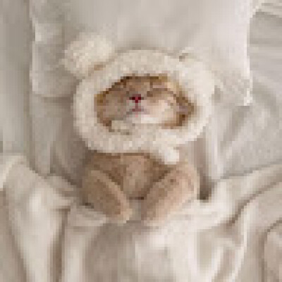 Bao Nguyen zoekt een Studio / Appartement in Leeuwarden