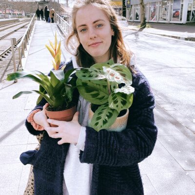 Naddi zoekt een Kamer in Leeuwarden